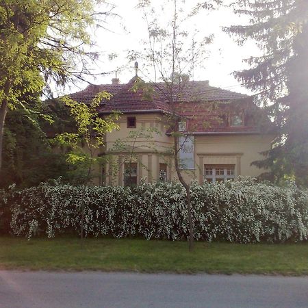 Villa Ricz Palić Buitenkant foto