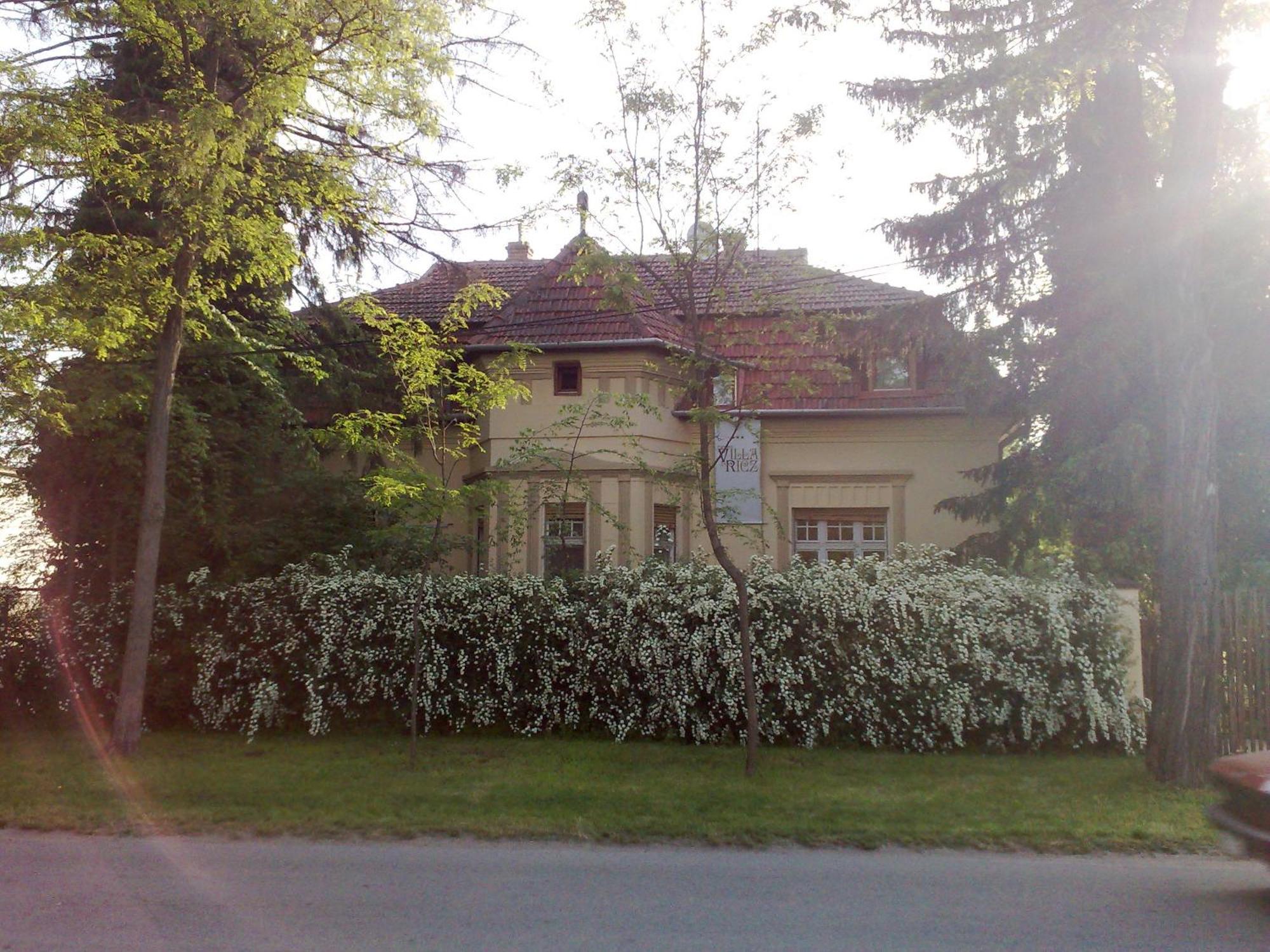 Villa Ricz Palić Buitenkant foto
