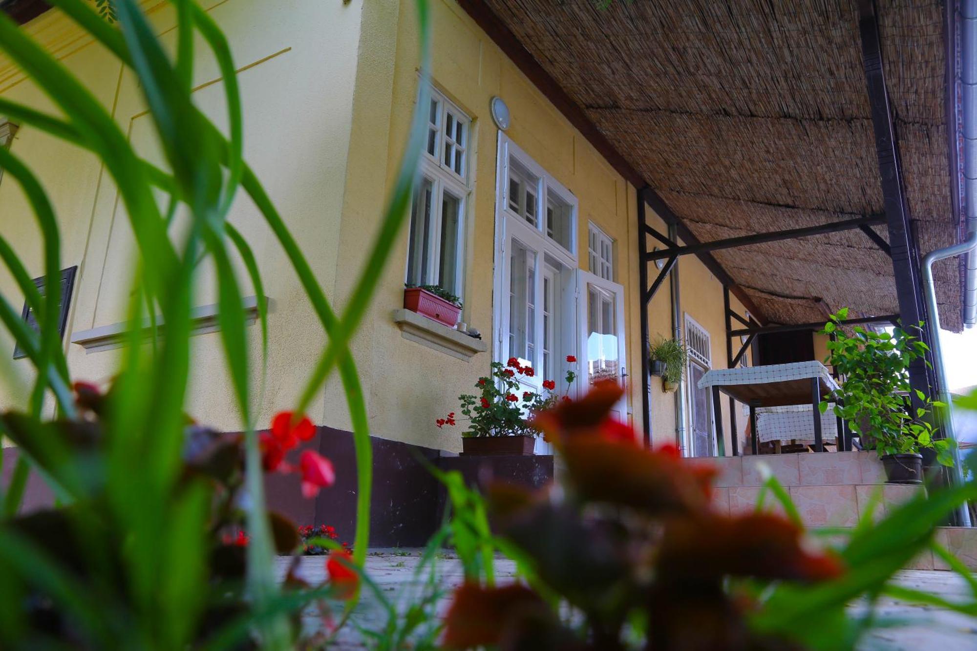 Villa Ricz Palić Buitenkant foto