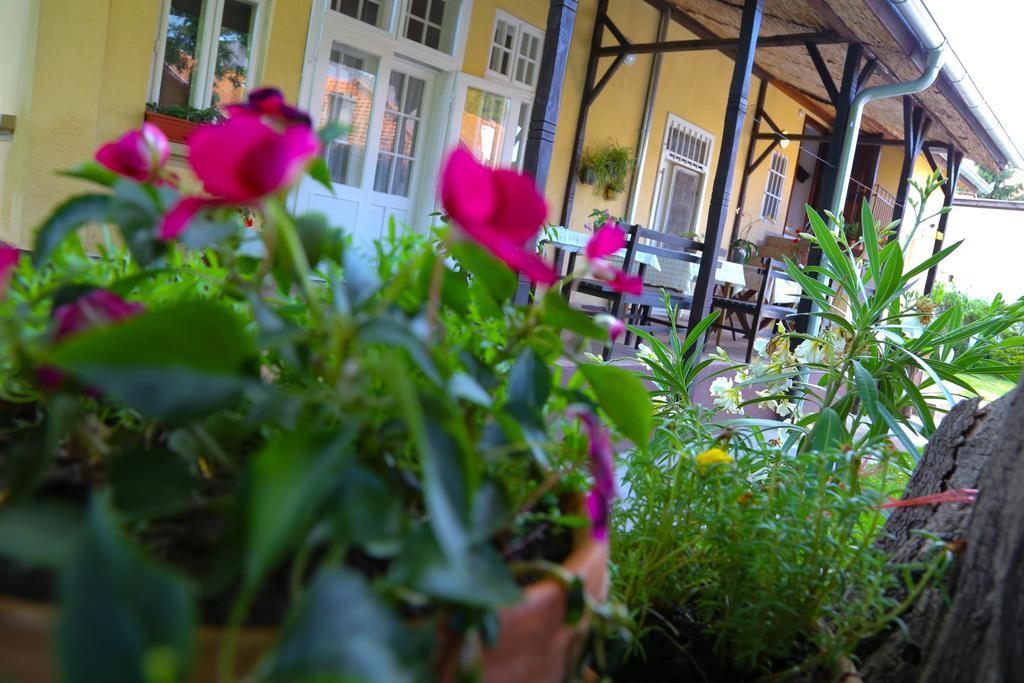 Villa Ricz Palić Buitenkant foto