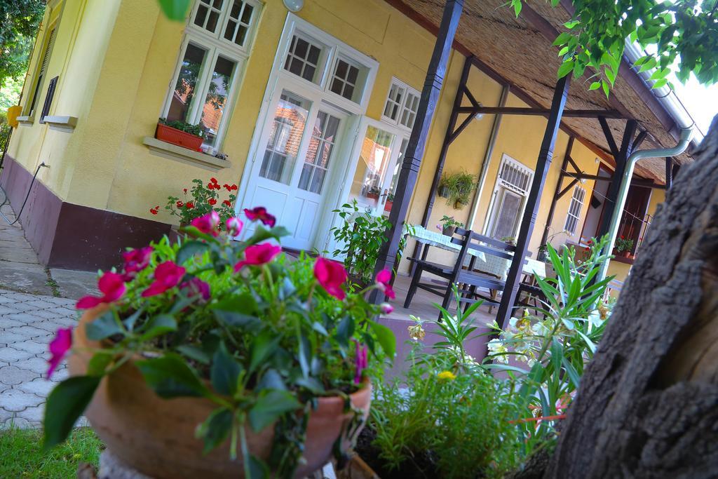 Villa Ricz Palić Buitenkant foto